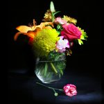 Light Painted Flowers - Virgil Lipscomb