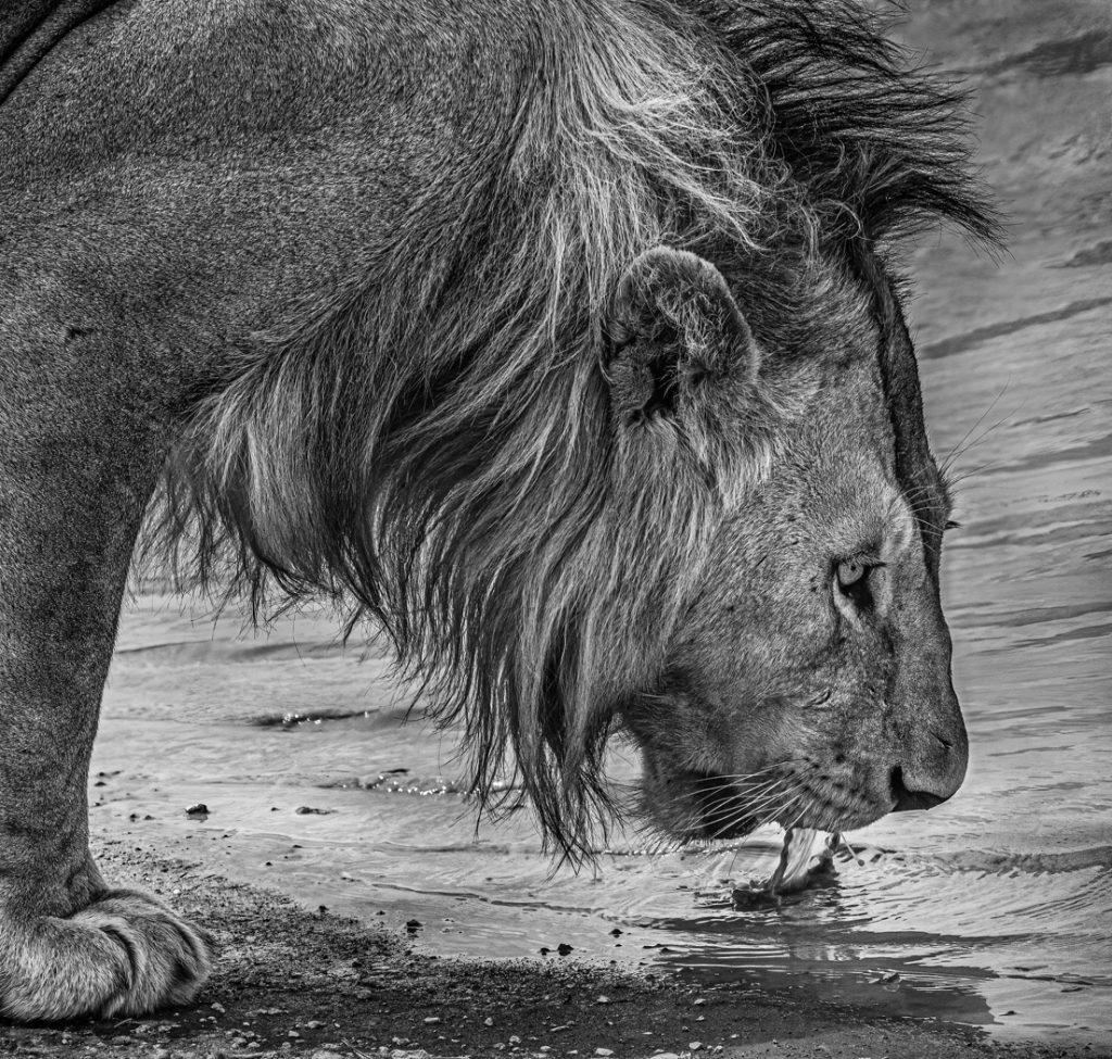 Cooling Off - Judy Lanier