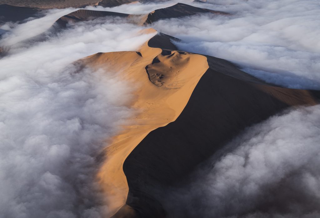 Sand Dunes In Fog - Susan Quinn
