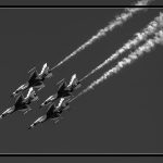 Down They Go - George Peterson