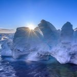 The Midnight Sun - Barbara Tricarico