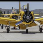 Ready For Flight - George Peterson