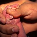 Grasp Of Life - Neal Thompson