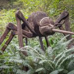California Mosquito - Randy Bryan - Mention