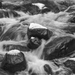 Where Are The Fish - George Peterson - 3rd Prize