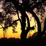 Dusk - Howard Hunt - Mention