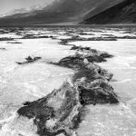 Upheaval - Vivian Mcaleavey - Mention