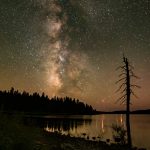 Hyatt Lake Sentinel - Terry Tuttle - 3rd Prize