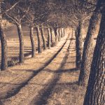 Cortona Italy - Barbara Tricarico - 3rd Prize - B W Print Large