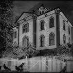 The Birds - George Peterson - Mention - B W Print Large