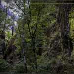 Oneonta Area Columbia Gorge - George Peterson - 2nd Prize - Color Print Large