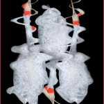 Cranes - Howard Hunt - 3rd Prize - Color Print Small