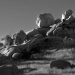 Sun Bathing - Vivian Mcaleavey - 2nd Prize - Monochrome