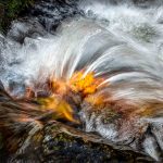 Splash - Howard Hunt - 3rd Prize - Traditional