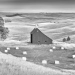 Palouse Hills - Barbara Tricarico - Mention - B W Print Large