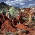 Candyland - Neal Thompson - 1st Prize - Color Print Large