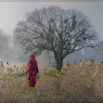 Into The Woods - Barbara Tricarico - 1st Prize - Color Print Small