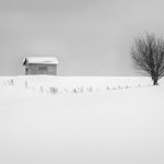 Long Winter - Susan Quinn - Mention - Monochrome