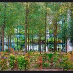 Office Greens Christianshavn Denmark - John Petersen - Mention - Traditional