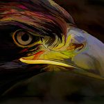 Angry Eagle - Judy Lanier - Altered Reality - 1st Prize