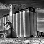 Grain Elevator - Neal Thompson - Mention - B W Print Large