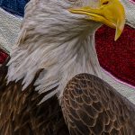 Patriotic Eagle - Judy Lanier - 3rd Prize - Color Print Large