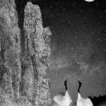 Red Crested Cranes Ar Night - Susan Quinn - 3rd Prize - Altered Reality