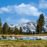 Yosemite Glow - Barbara Tricarico - Color Print Large - Mention