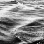 First Light - Susan Quinn - Monochrome - Mention