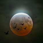 Blood Moon - Vivian Mcaleavey - Traditional - 3rd Prize