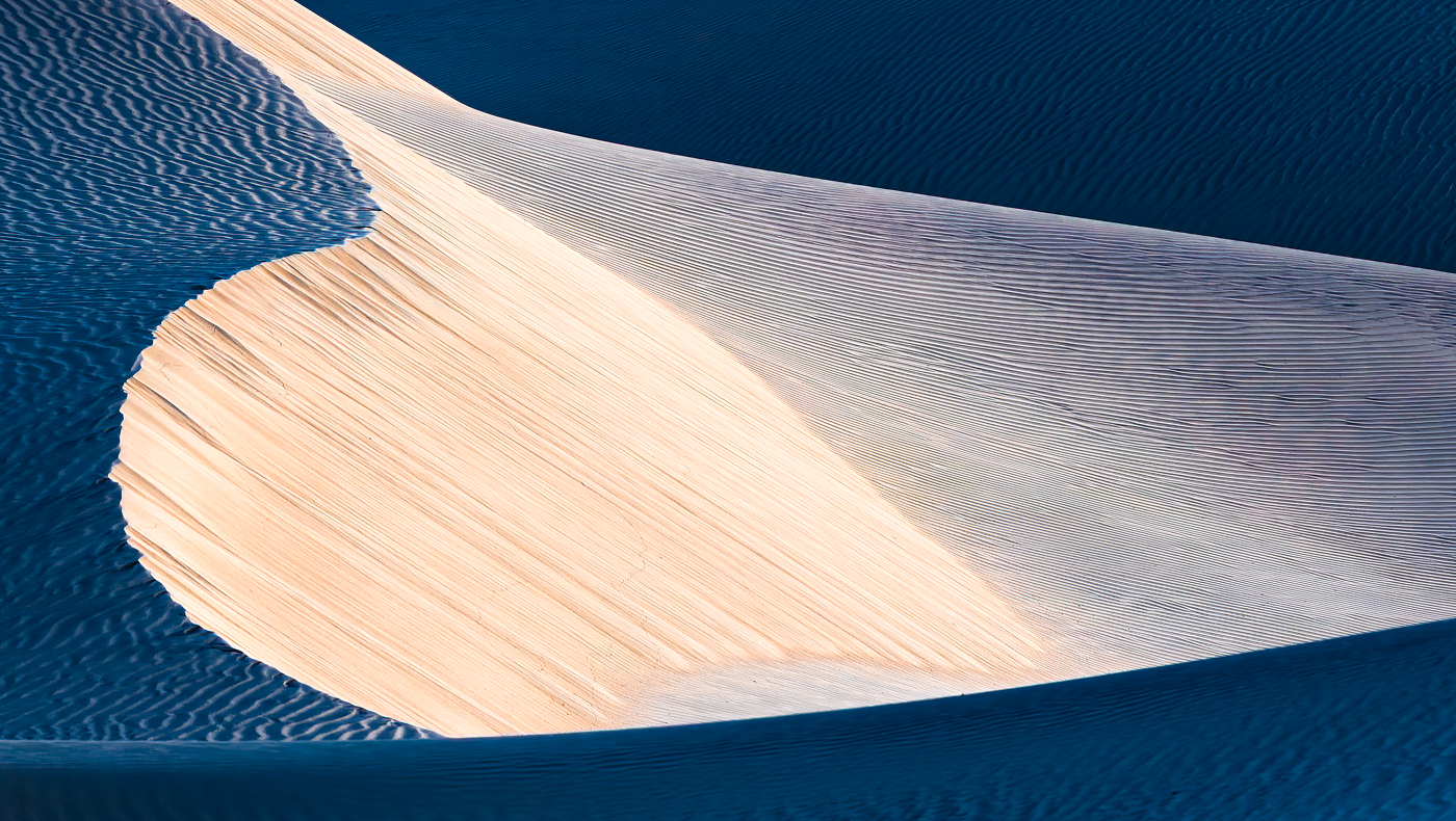 Shapes Lines Dunes At Dawn - Richard Handler